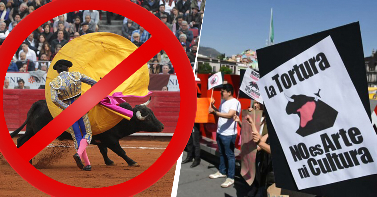 Judge orders the definitive suspension of bullfights in Plaza México