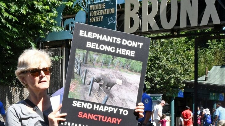 mujer con un cartel pidiendo que una elefanta sea liberada 