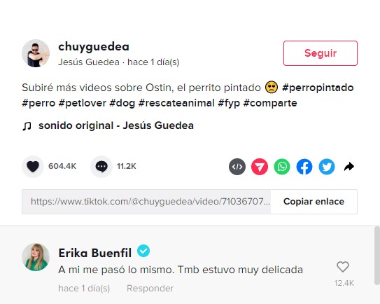 captura de pantalla de un comentario de Erika Buenfil en TikTok 