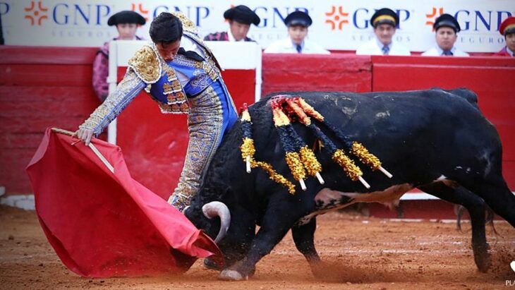 torero en una plaza de toros 