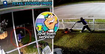 Ladrón robó una podadora, pero antes cortó el césped de su víctima