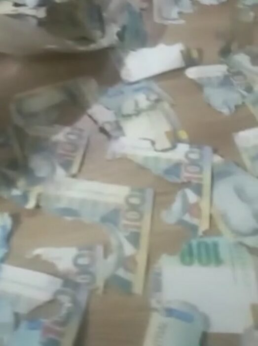 image showing banknotes torn into several pieces 