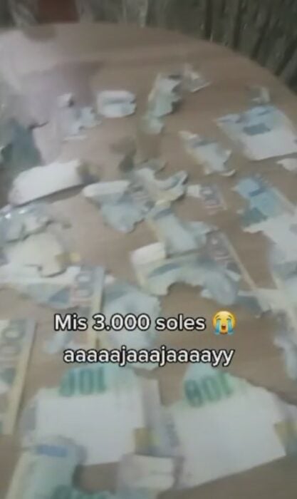 captura de pantalla del video en el que una mujer expone que una rata mordió sus billetes 