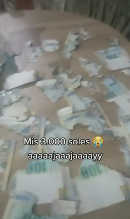 screenshot of the video in which a woman exposes that a rat bit her banknotes 