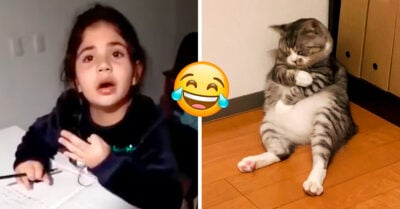 Niña odia hacer la tarea y envidia a su gato por no tener responsabilidades; se hace viral