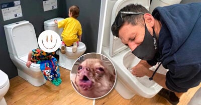 ¡Traviesillo! Niño usó el inodoro de exhibición y sus papás tuvieron que limpiarlo