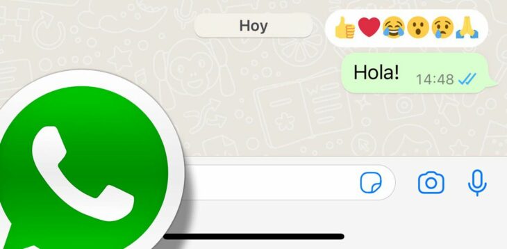 Chat de WhatsApp mostrando las reacciones a los mensajes 