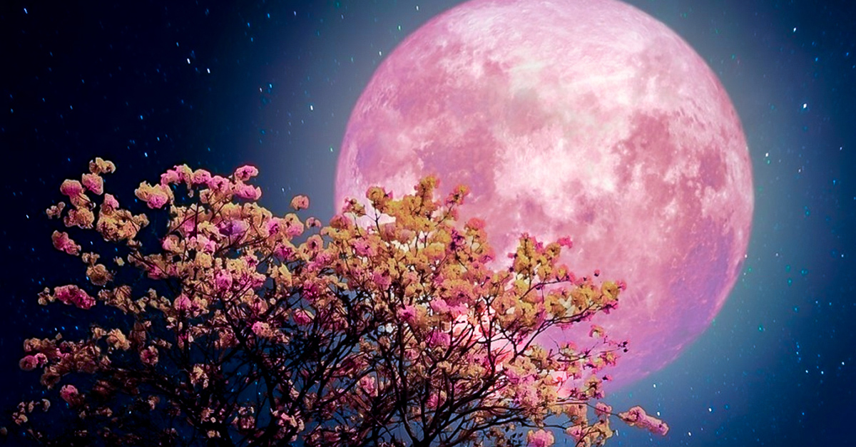 Tonight we will have the Strawberry Supermoon to welcome summer!