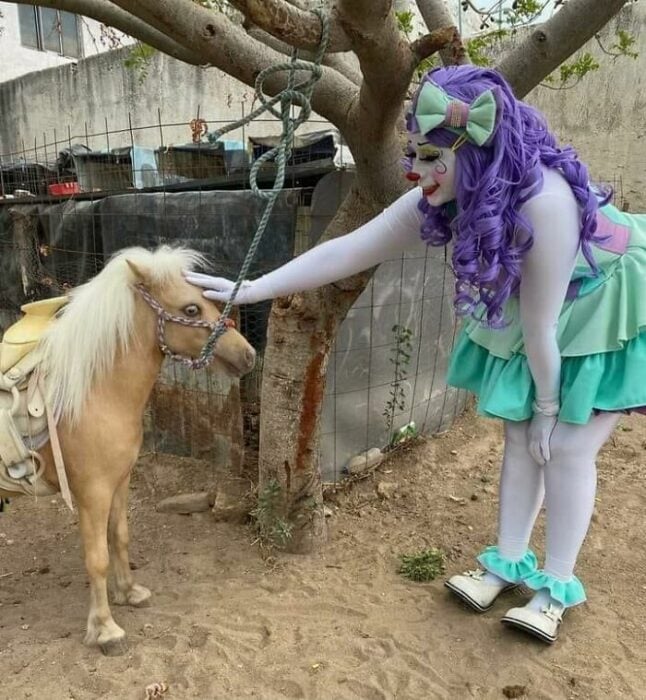pony ;15 Images in which everything happens at once and are really strange