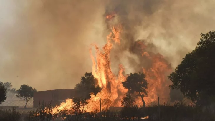 Incendio forestal