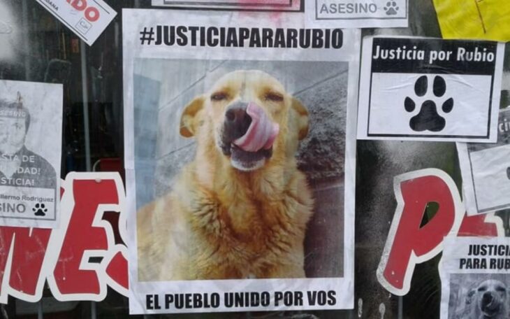 Rubio, perro asesinado en Argentina