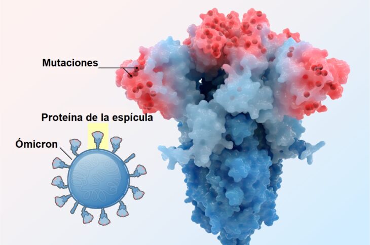 Esquema de subvariantes de ómicron