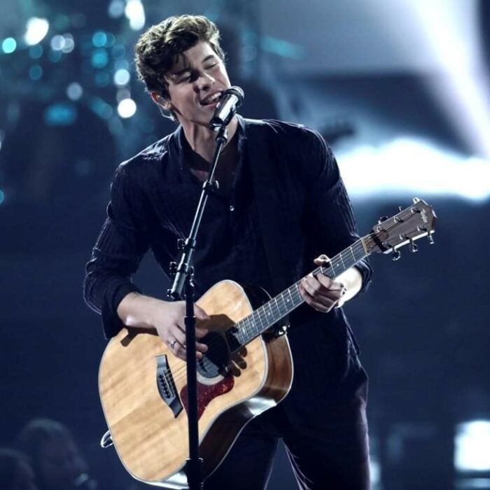 Shawn Mendes 2017 American Music Awards 