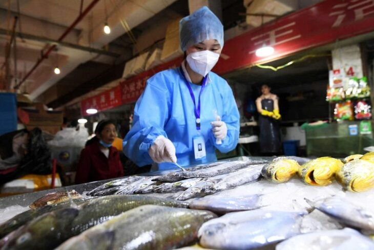 Animales vendidos en el mercado de Wuhan podrían haber iniciado la pandemia de covid-19