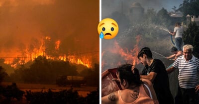Ola de calor provoca incendios forestales en Europa: el fuego arrasa Portugal