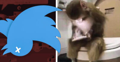 15 Grandiosos memes que nos dejó la caída de Twitter a nivel mundial