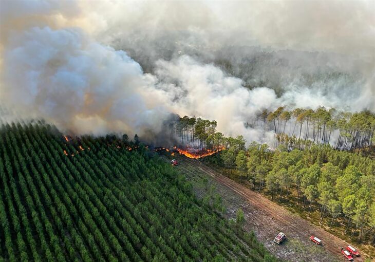 Incendios forestales en Europa