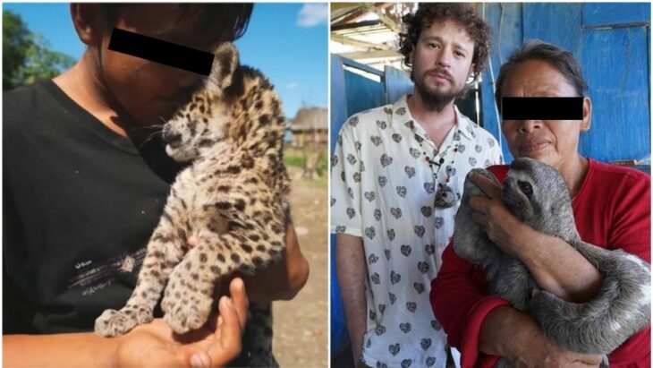 Familia con animales exóticos abre sus puertas a Luisito Comunica y él los denuncia