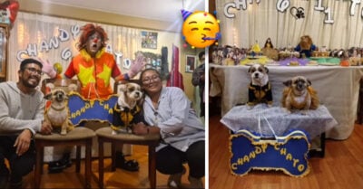 Familia festejó el cumpleaños de sus perritos con todo y payaso… ¡Estuvo de pelos!