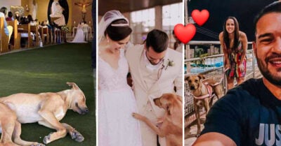 ¡Qué hermoso! Pareja adopta a un perrito callejero que se coló en su boda