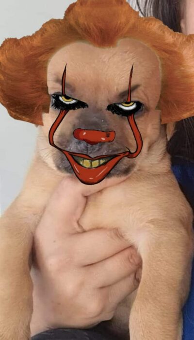 Chupete perrito con la cabeza grande con la cara pintada como el payaso eso 