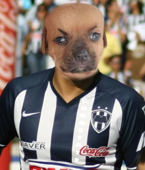 imagen del jugador chupete suazo con la cara de un perrito en adopción