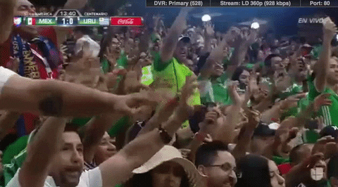 Gifs de la afición mexicana haciendo el grito homofóbico en un estadio de futbol 