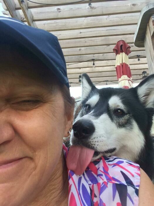 suegra y mi perro