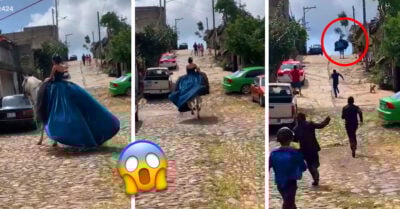 ¡Y se marchó! Chica es raptada por el caballo con el que iba a entrar a su fiesta de XV