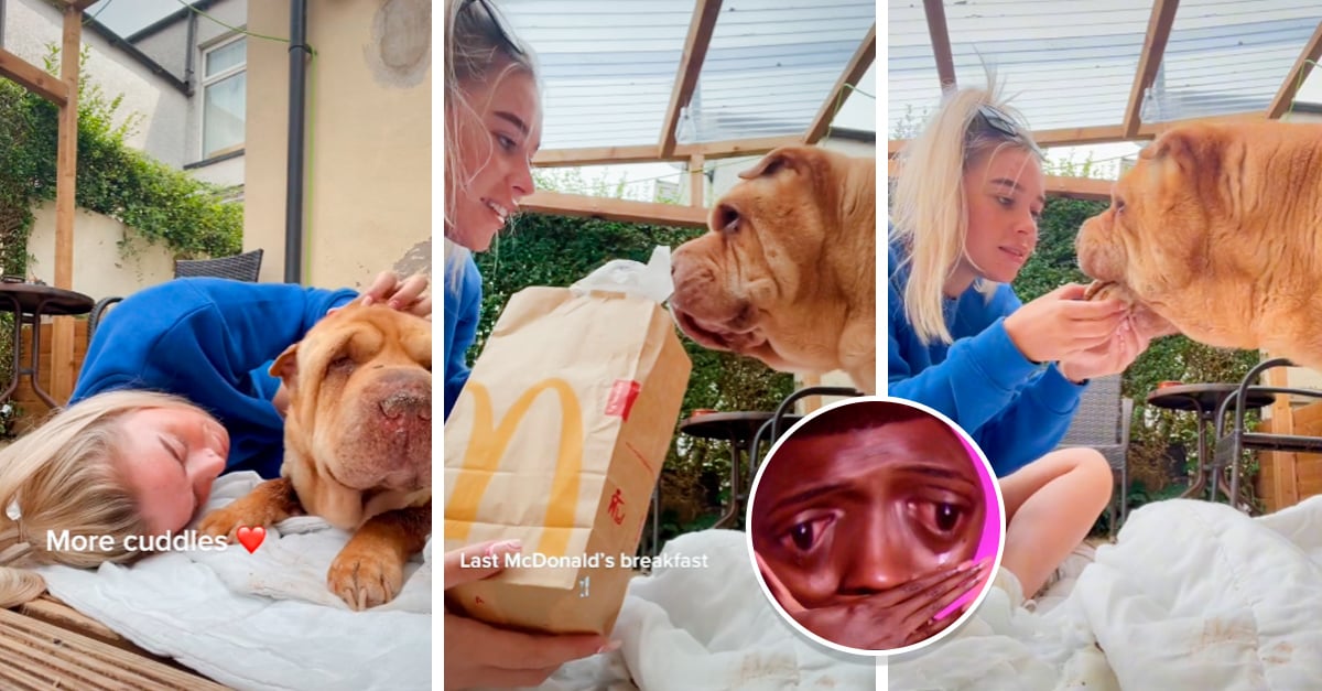 He said goodbye to his puppy with an adorable picnic full of hamburgers and chocolates