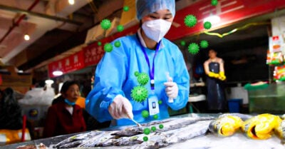 Identifican el local exacto del mercado de Wuhan donde habría nacido el covid-19