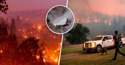 Incendio en California es tan intenso que logró verse desde el espacio