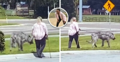 Pintamos toda la casa…¡Qué es eso! Mujer pasea a su “perro” y nadie sabe qué raza es