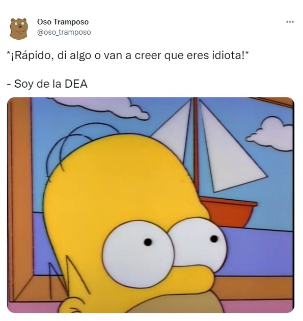 Lady DEA meme with the head of Homer from The Simpsons 