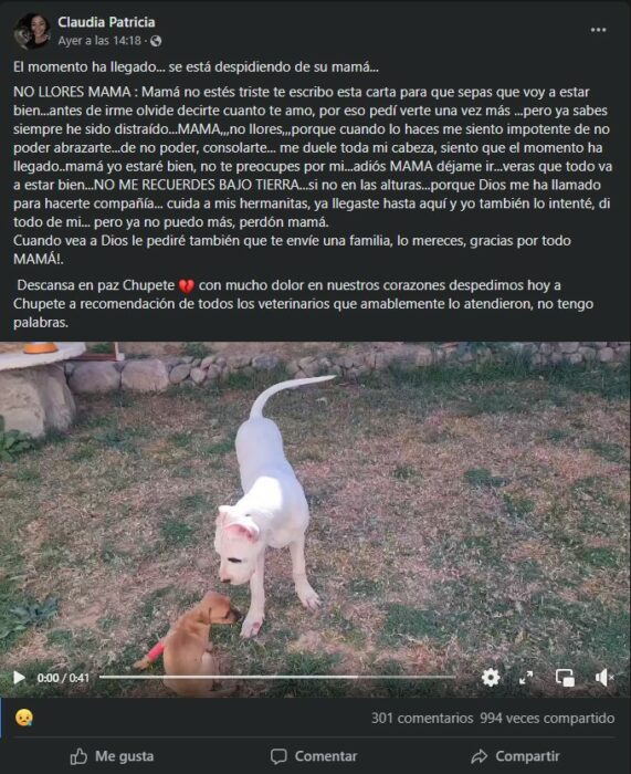 captura de pantalla de la noticia de que el perrito chupete murió