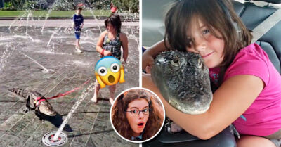 Niña pasea con un caimán con correa en un parque y descubren por qué lo tiene