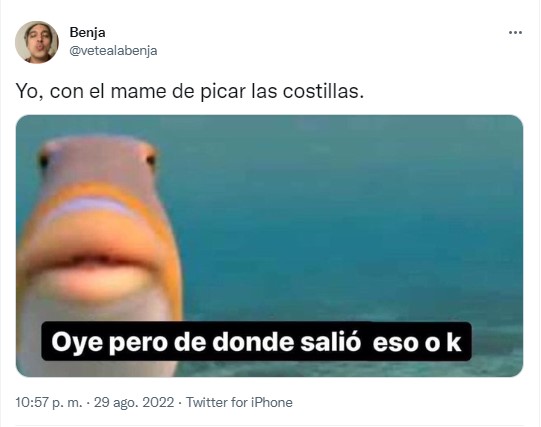 meme del pez que pregunta cómo surgió el meme del piquete de costillas 