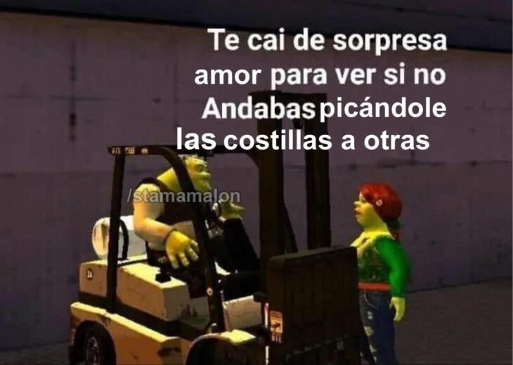 meme de Shrek y Fiona con respecto al piquete de costillas 