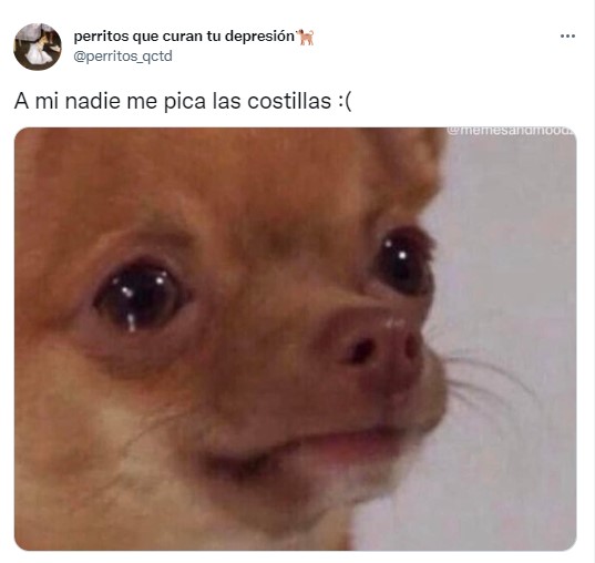 meme de un perrito triste con respecto al piquete de costillas 