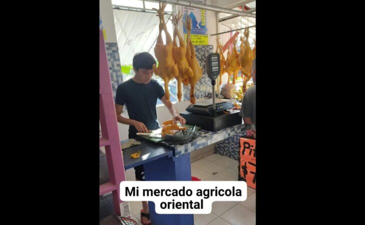 image of a boy in a chicken shop 