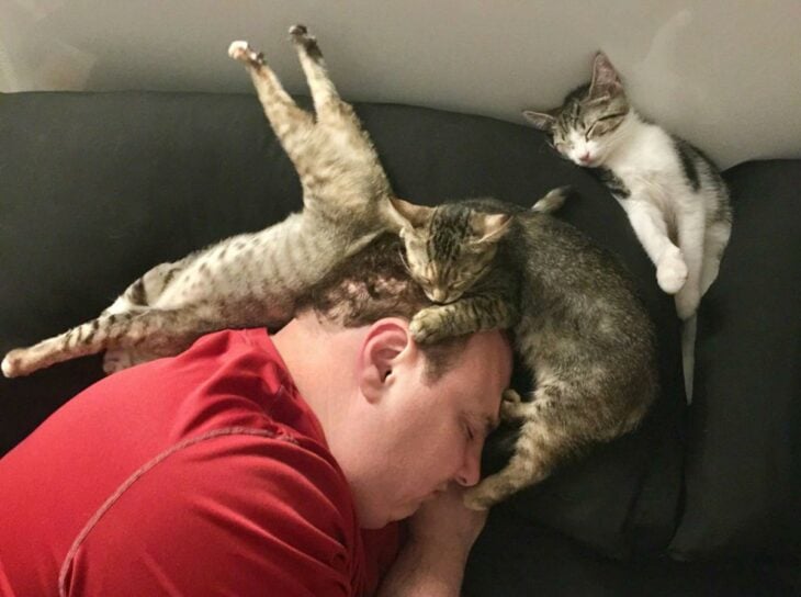 hombre dormido junto a sus gatos