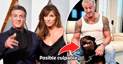 ¡Por un perro! Sylvester Stallone se divorcia y se cubre el tatuaje que tenía de su esposa