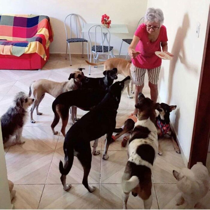 Abuelita cumplió 89 años y sus 10 perritos le "organizan" una gran fiesta