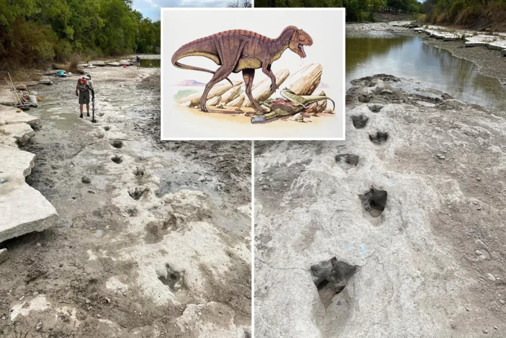 Sequías en Texas dejan la descubierto huellas de dinosaurios de hace 113 millones de años