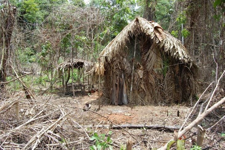 Muere en Brasil el "Indígena del hoyo" que se resistió a cualquier contacto en casi 30 años