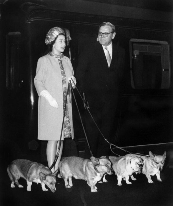 Reina Isabel ll con sus cuatro perros 