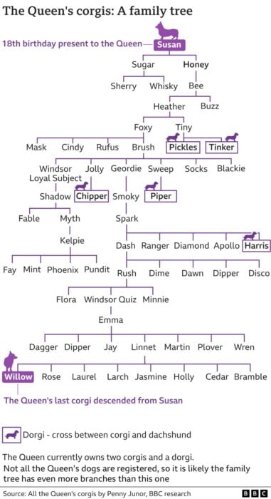 map showing the descent of queen elizabeth ll's corgis 