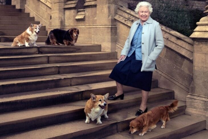Recent photograph of Queen Elizabeth ll accompanied by her dogs 