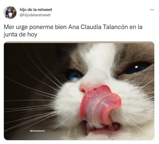 meme de un gatito con la lengua de fuera 