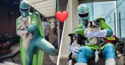 Zadrigman, el superhéroe mexicano que rescata animales abandonados y maltratados